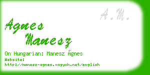 agnes manesz business card